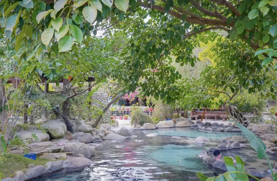 泰安泡湯 泰安泡湯